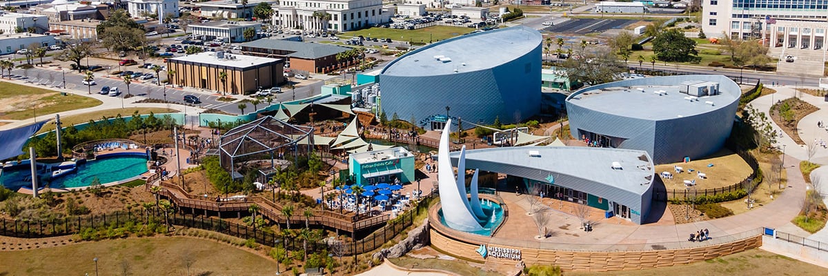 ミシシッピ水族館と周辺の建物の空撮